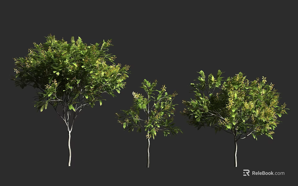 Three Arbor Trees With Green Leaves And Lush Foliage In Different Sizes 3d model 
