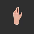 Detailed Realistic Flesh Colored Human Hand Model Isolated on Black Background