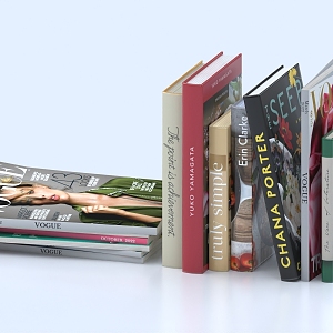 Books and Magazines Fashion Magazines Fashion Books Book Materials 3d model