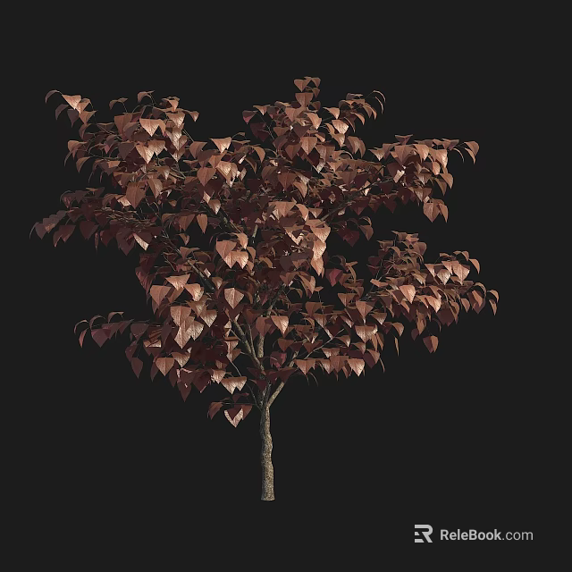 Brown Leafed Tree With Rich Copper Foliage And Slender Trunk On Black Background 3d model 