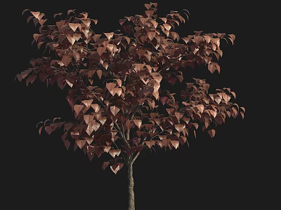 Brown Leafed Tree With Rich Copper Foliage And Slender Trunk On Black Background 3d model