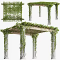 Pergola With Green Vines Covering Top And White Columns In Garden