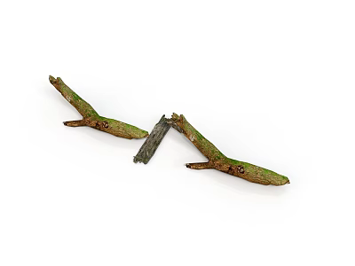 Green Plant Branches With Brown Spots And Gray Stone Placed In The Middle 3d model