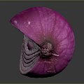 Fresh Sliced Purple Onion With Vibrant Purple Skin And White Layers