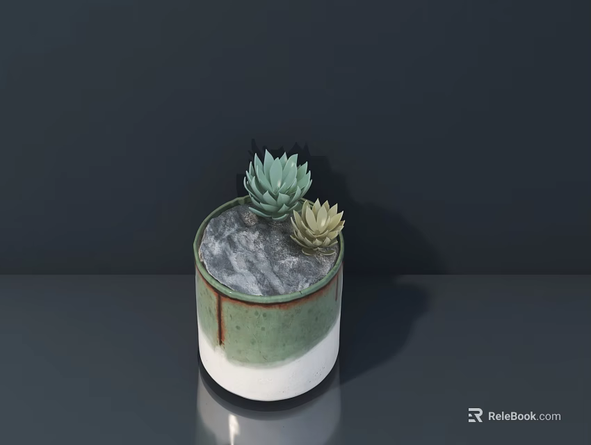 Succulent Bonsai Potted Plant in Green White Ceramic Pot with Gray Substrate 3d model 