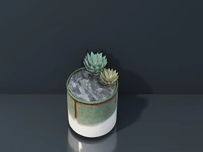 Succulent Bonsai Potted Plant in Green White Ceramic Pot with Gray Substrate 3d model
