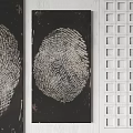 Abstract Fingerprint Art With Intricate Grid Pattern And Textured Design 3d model