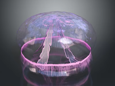 Transparent Pink Bell Shaped Jellyfish With Glowing Tentacles In Ocean Water 3d model