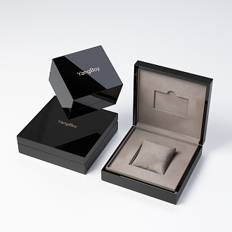 Watch packaging box paint box 3d model