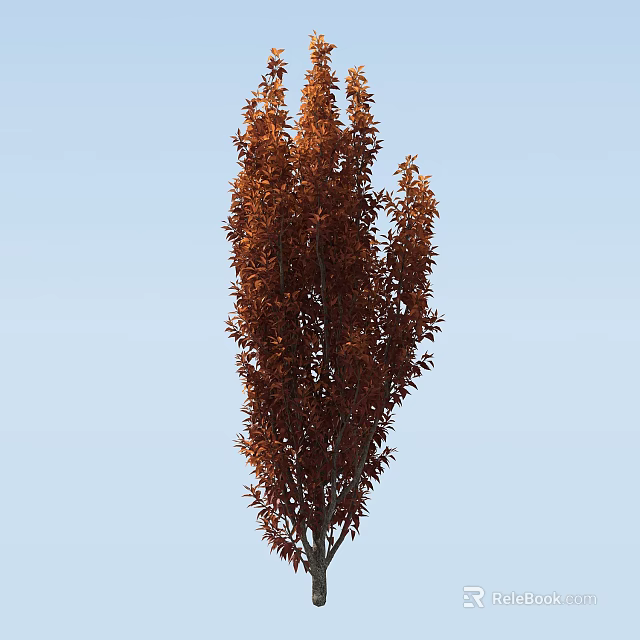 Tall Arbor With Brown Leaves Standing Against Clear Blue Sky 3d model 