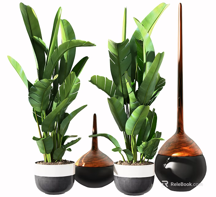 Decorative Bonsai Potted Plants With Large Green Leaves And Various Shaped Pots 3d model 