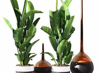 Decorative Bonsai Potted Plants With Large Green Leaves And Various Shaped Pots 3d model