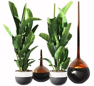 Decorative Bonsai Potted Plants With Large Green Leaves And Various Shaped Pots 3d model