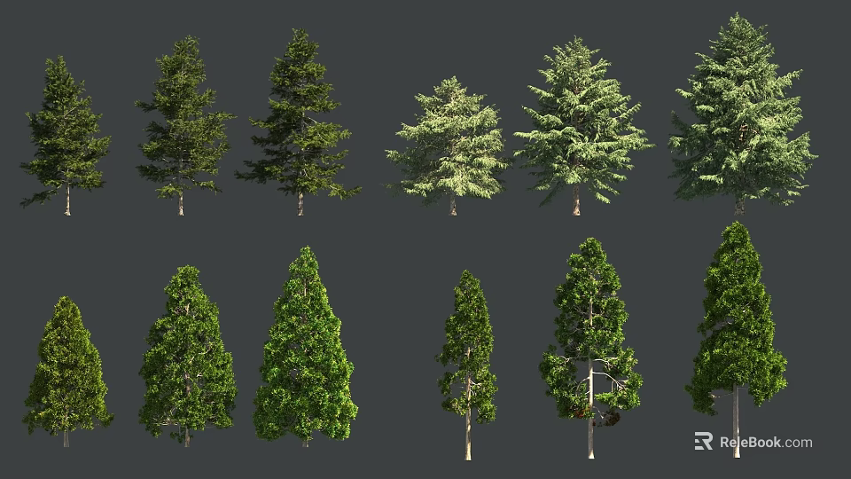 Various Arbor Trees With Different Shapes And Green Foliage Isolated On Dark Background 3d model 
