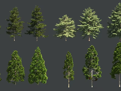 Various Arbor Trees With Different Shapes And Green Foliage Isolated On Dark Background 3d model