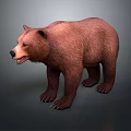 Realistic Brown Bear 3D Render In Standing Pose With Detailed Fur And Gray Background 3d model