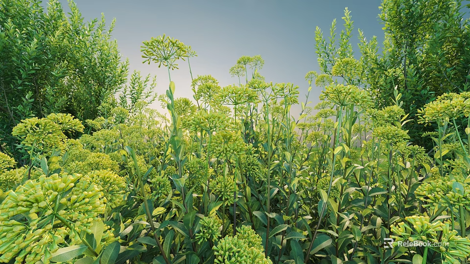 Green Shrubs With Lush Leaves And Yellow Flowers Against Blue Sky 3d model 