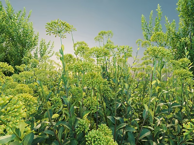 Green Shrubs With Lush Leaves And Yellow Flowers Against Blue Sky 3d model