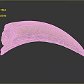 Decorative Ornament Set with Natural Texture Neutral Color and Smooth Surface