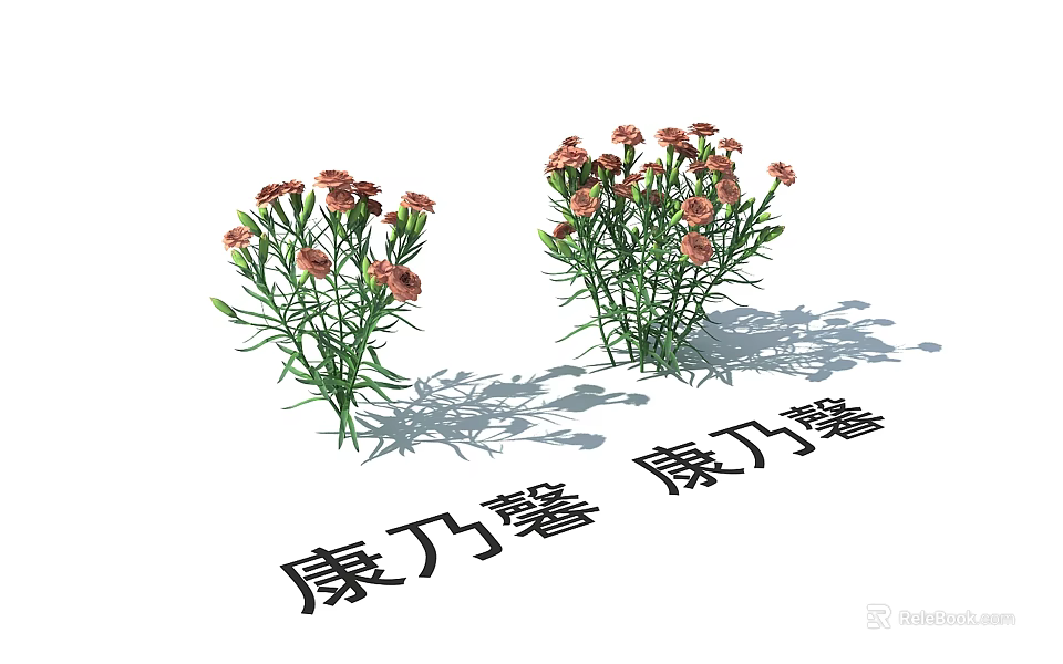 Fresh Beautiful Pink Carnation Flowers With Green Leaves And Two Bouquets 3d model 