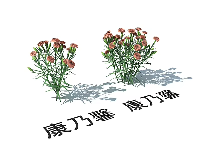 Fresh Beautiful Pink Carnation Flowers With Green Leaves And Two Bouquets 3d model