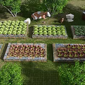 Park Landscape with Neatly Arranged Vegetable Garden Beds Various Vegetables Trees Stones and Wooden Barrel