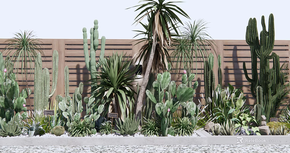Variety of Succulent Plants and Cacti in Garden With Wooden Fence Background 3d model 