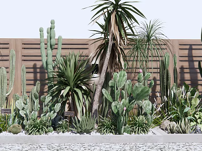 Variety of Succulent Plants and Cacti in Garden With Wooden Fence Background 3d model