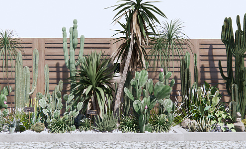 Modern Plants Cactus Plant Landscape 3d model