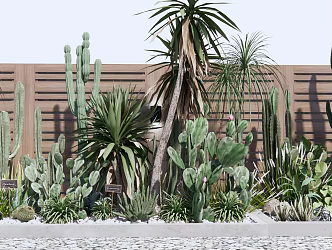 Modern Plants Cactus Plant Landscape 3d model