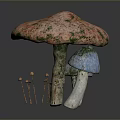 Edible Pink Green Spotted Mushroom with White Stems and Small Brown Stems Around