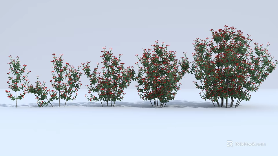 Different Sizes of Flowering Shrubs with Green Leaves and Red Flowers Arranged in a Row 3d model 