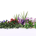 Vibrant Mixed Color Flowers and Green Plants with Lush Leaves and Grass