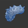 Spiky Conch Shell With Textured Surface And Grayish White Color On Black Background