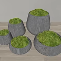 Bonsai Potted Plants In Wooden Textured Pots With Green Moss And Various Sizes