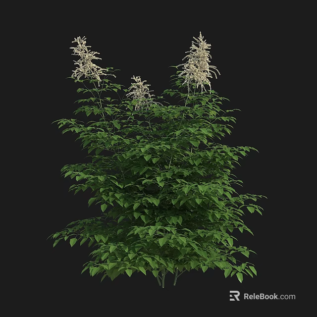 Lush Green Plant With White Flowers And Vibrant Foliage In Garden 3d model 