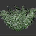 Lush Green Plant With Dense Leaves And Vigorous Growth Features