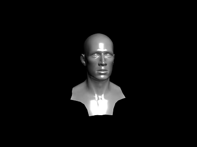 Realistic 3D Male Head Model Rendering With Metallic Texture And Black Background 3d model