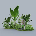 Tropical Plant Combination With Large Leaves Palm Ferns Tree Stump And Mushrooms