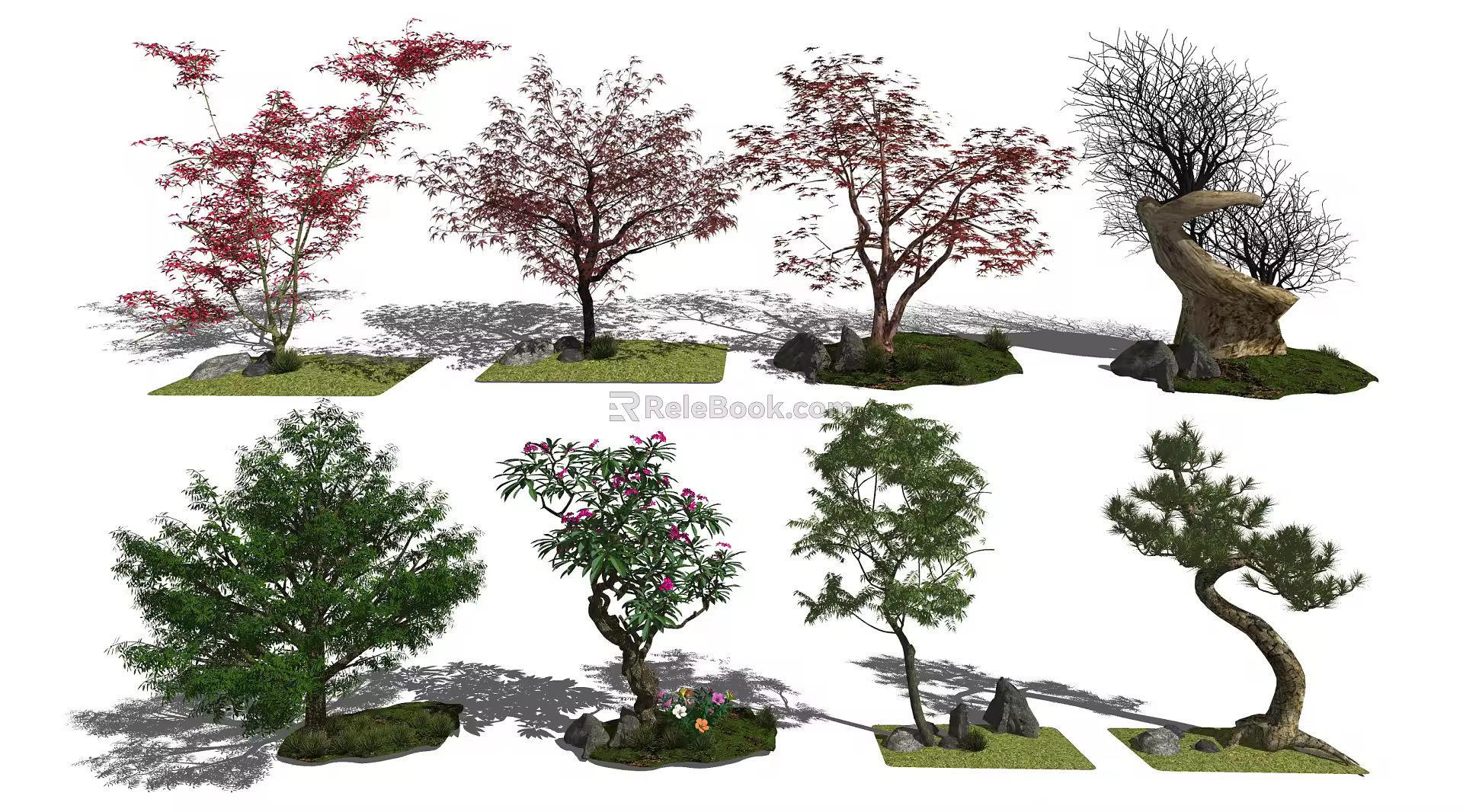 New Chinese Tree Landscape Tree 3d model
