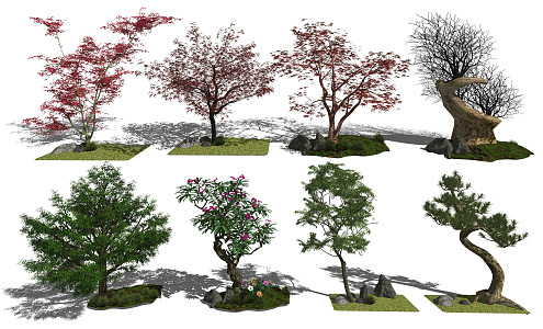 New Chinese Tree Landscape Tree 3d model