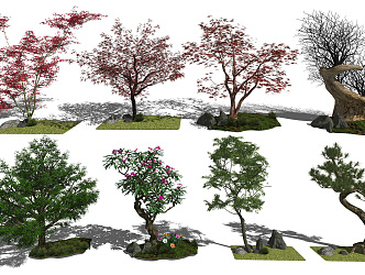 New Chinese Tree Landscape Tree 3d model