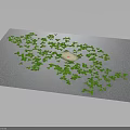 Green Clover Shapes Surrounding White Small Square on Gray Background