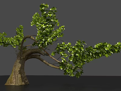 Lush Green Arbor With Thick Trunk And Spreading Branches Showcasing Natural Foliage On Gray Background 3d model