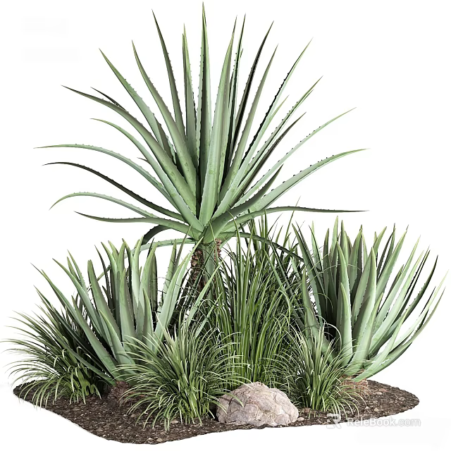 Lush Green Shrubs With Long Blade Leaves And Surrounding Small Rocks 3d model 