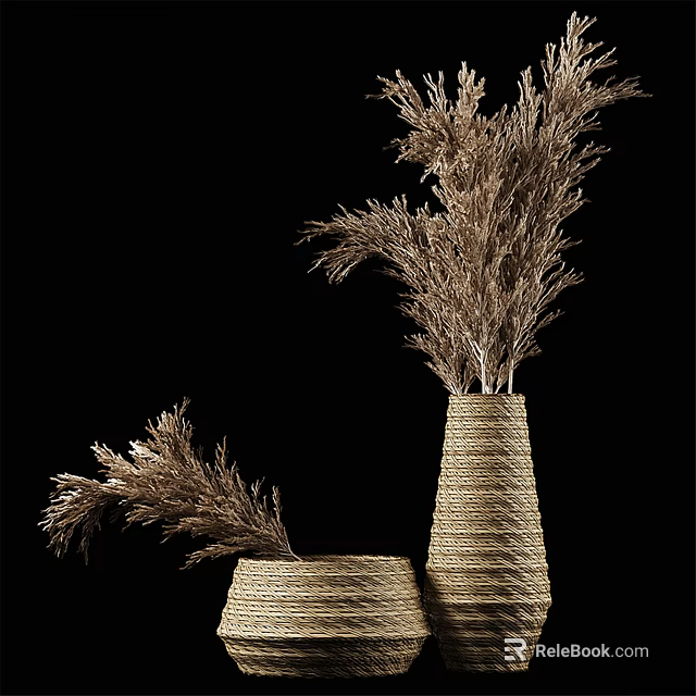 Two Woven Vases With Dried Pampas Grass Natural Material Minimalist Home Decor 3d model 