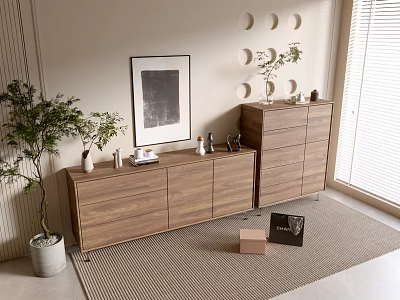 Modern Entryway With Walnut Entryway Cabinet Side Cabinet Green Plant Framed Artwork Window And Rug 3d model