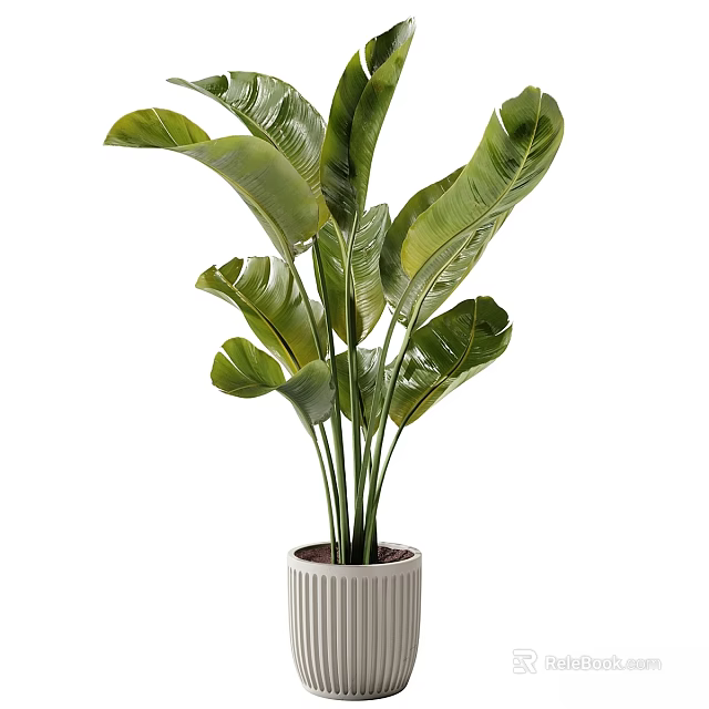 Elegant Decorative Ornament Set with Large Leaf Green Plant in White Striped Pot 3d model 