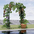 Green Vines Covered Garden Arbor with Purple Grapes Fruit Basket Near Stone Wall and Grass