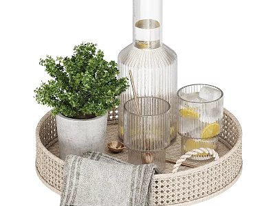 Decorative Ornament Set With Woven Tray Transparent Bottle Glass Cups Green Plant And Gray Towel 3d model